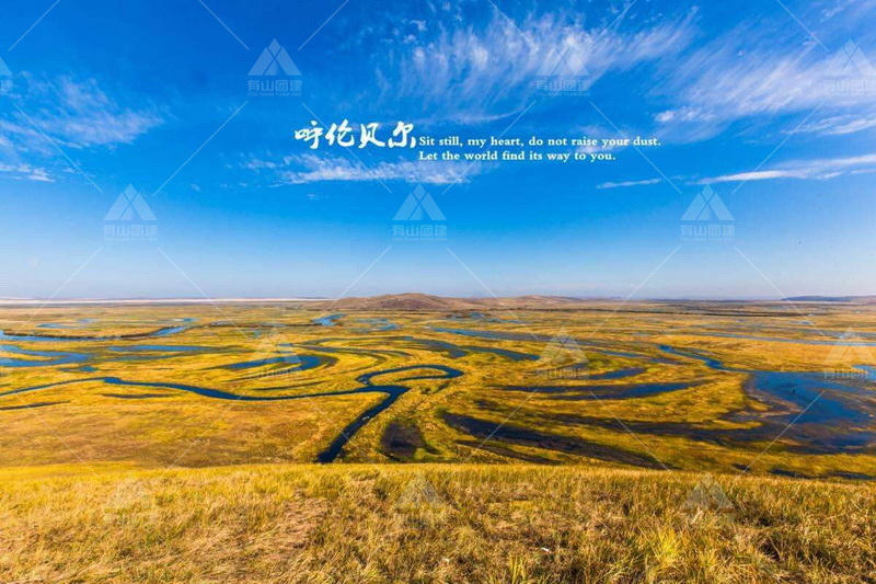 探索呼伦贝尔：户外活动策划的新天地